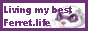 Ferret.life Web Button
